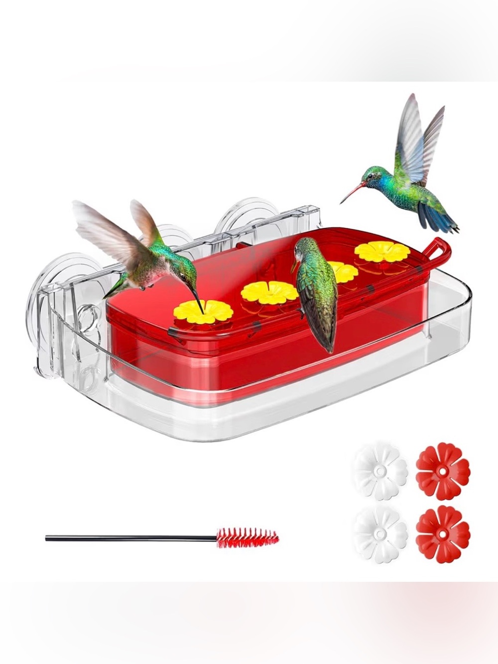 Window Hummingbird Feeder with Strong Suction Cups